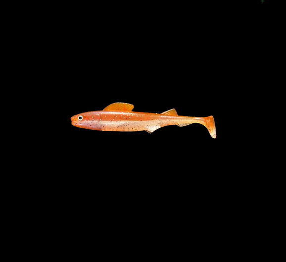 Gapshad Snacky