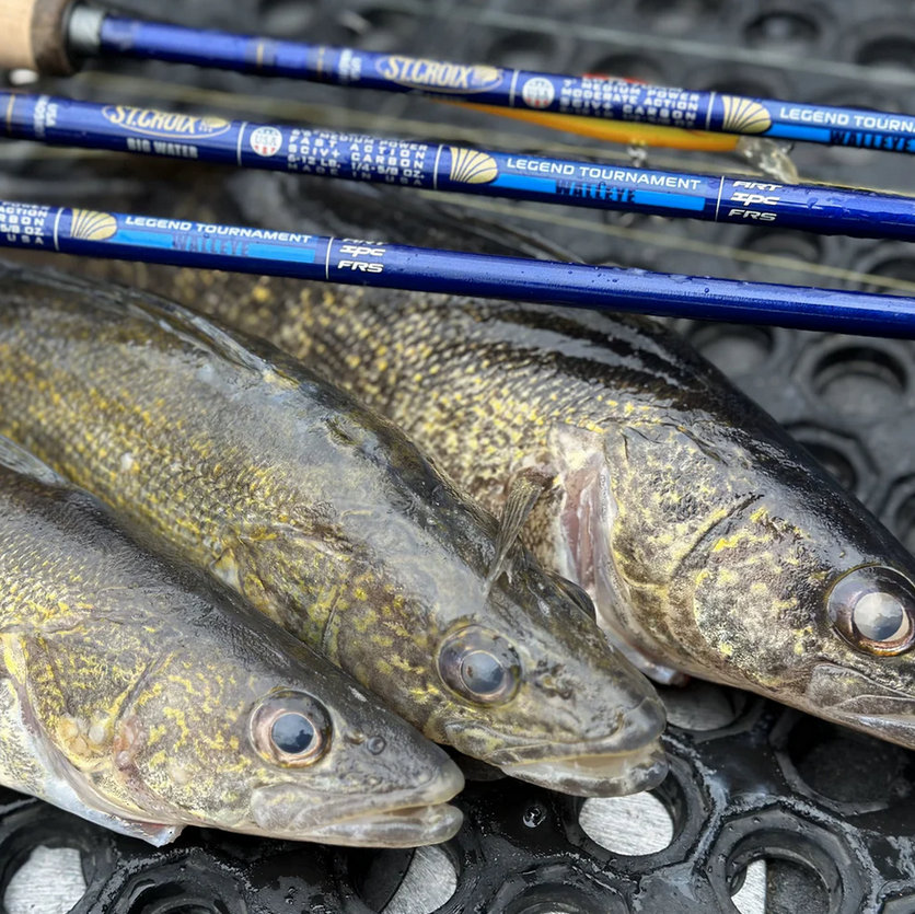St. Croix Legend Tournament Walleye / Spinning / 1 & 2 Piece