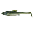 Stucki Fanatics Real Rider Paddle Tail – Gummifisch aus der Schweiz