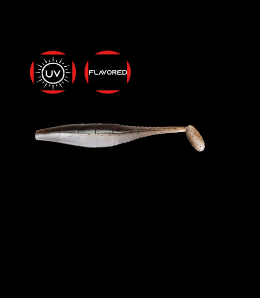 Slab Shad 7.5 cm I 13 cm