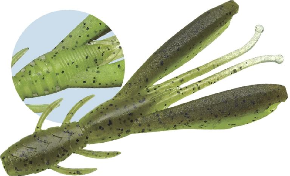 Evergreen FLOPCLAW