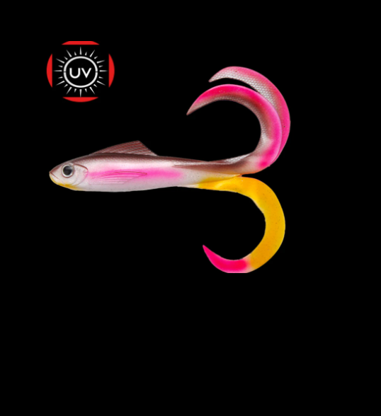 Everbait 3 Tail 24cm I 40g