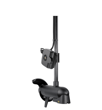 MEGA LIVE 2 Imaging Transducer