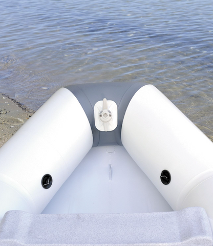 CleatPort RIBMount