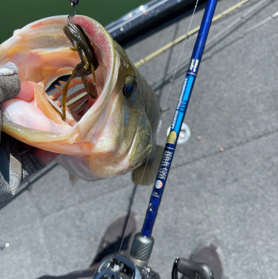 St. Croix Legend Tournament Bass Spinning / 1-piece