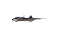 INVDR The Pelagic 20cm
