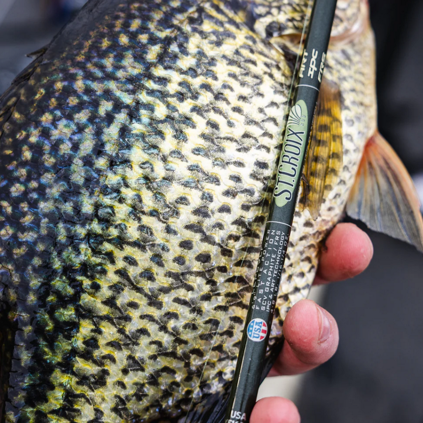St.Croix Legend Elite Panfish / Spinning / 1 Piece