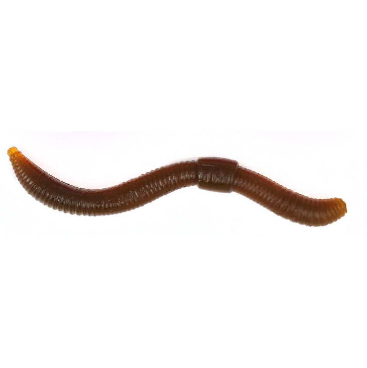 Trout Master Dendrobaena 60