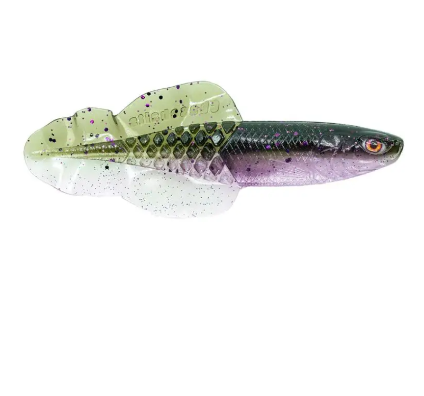 Chasebaits – Flacid Shad 7cm I 10.8cm
