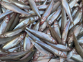 Stinte gefrorener Köderfisch ( Nur Abholung )