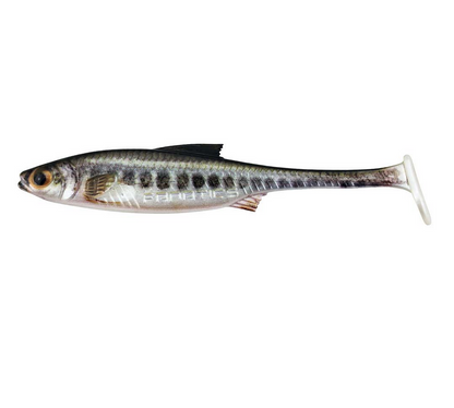 Stucki Fanatics Real Rider Paddle Tail – Rubber Fish from Switzerland