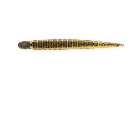 Keitech Custom Leech "3 / 8 cm